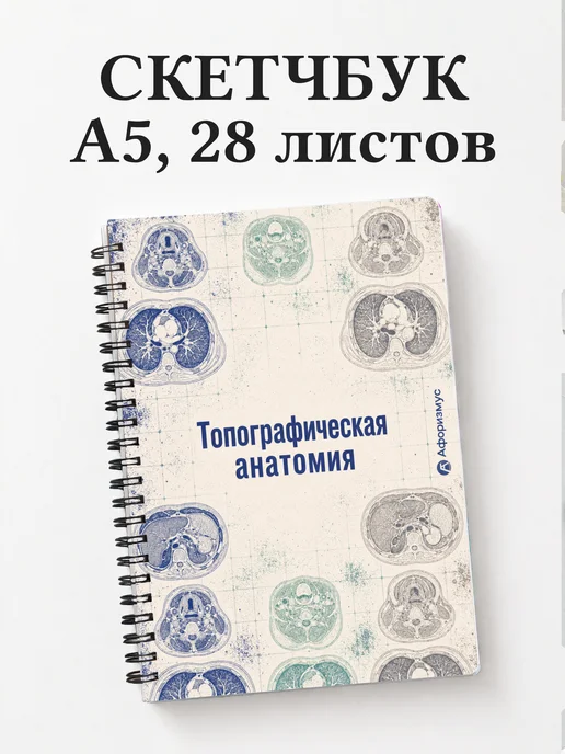 Скетчбук Топографическая анатомия