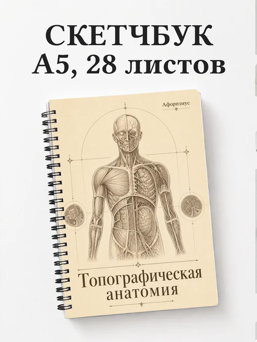 Скетчбук Топографическая анатомия