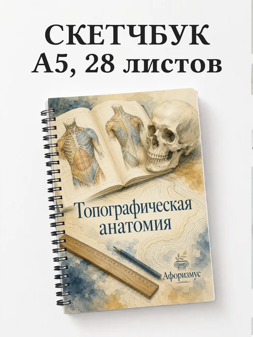 Скетчбук Топографическая анатомия