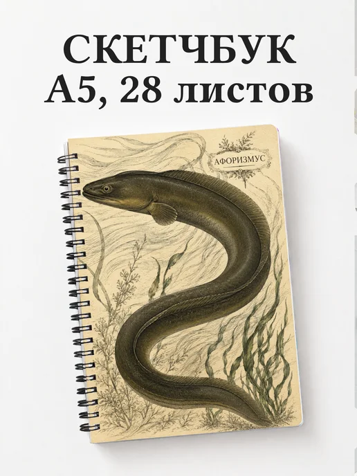 Скетчбук Угорь