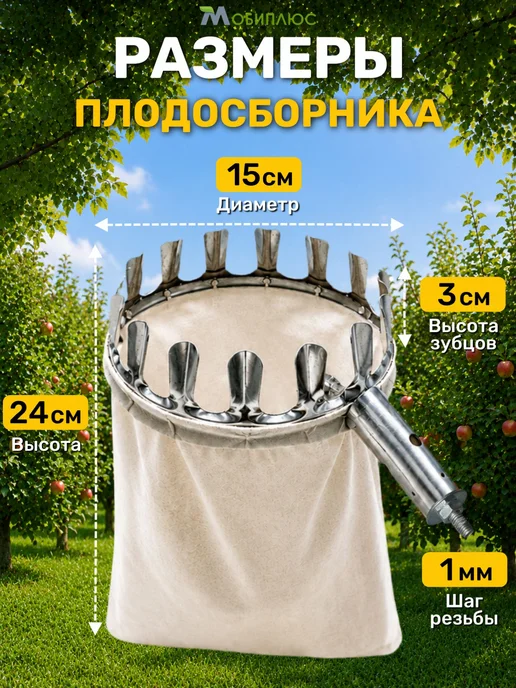 Плодосборник, вариант, фото 2
