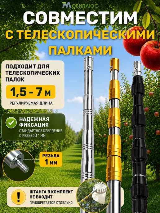 Плодосборник, вариант, фото 3