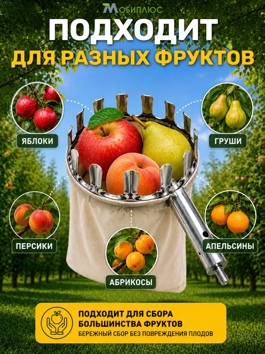 Плодосборник, вариант, фото 4