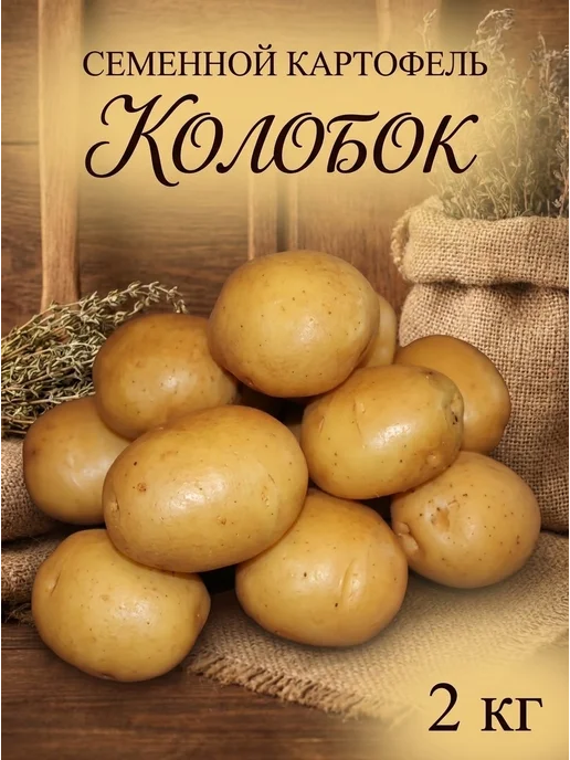 Семенной картофель на посадку Колобок 2 кг, 2 кг, фото 2