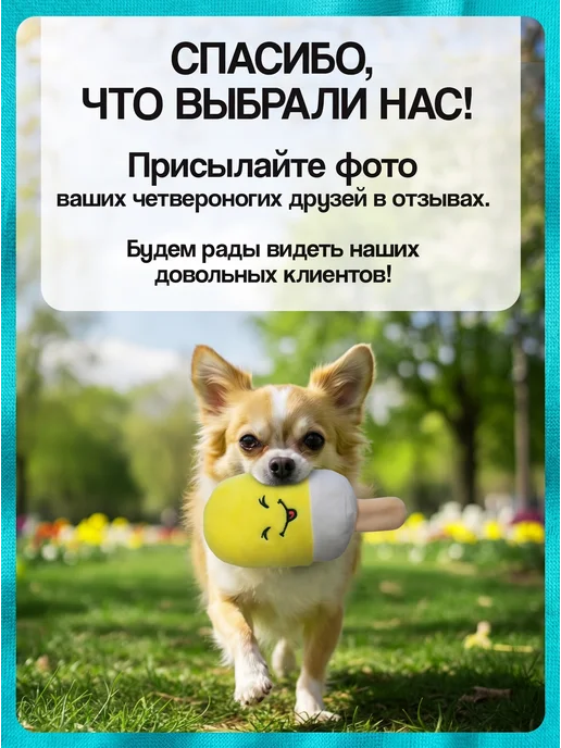 Tooth for tooth Игрушка мороженое для собак, вариант, фото 8
