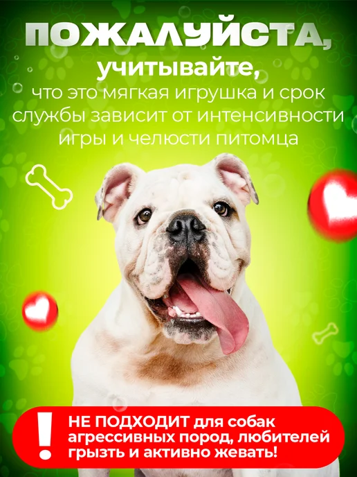 Tooth for tooth Игрушка для собак зайчик, коричневый, фото 8