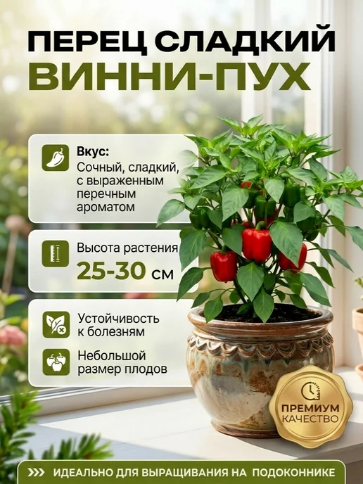 Семена Перца Винни-Пух для подоконника, вариант