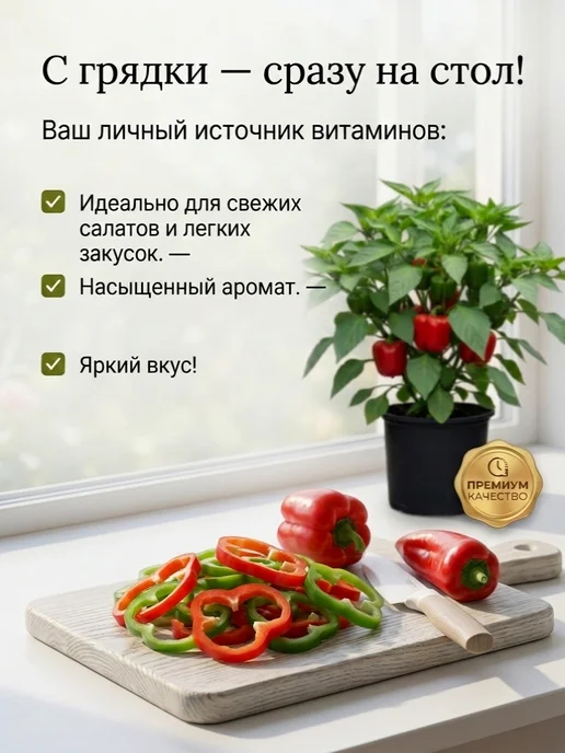Семена Перца Винни-Пух для подоконника, вариант, фото 4