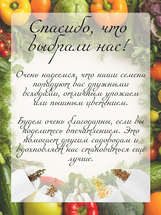 Семена Перца Винни-Пух для подоконника, вариант, фото 6