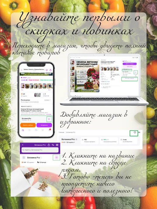 Семена Перца Винни-Пух для подоконника, вариант, фото 7