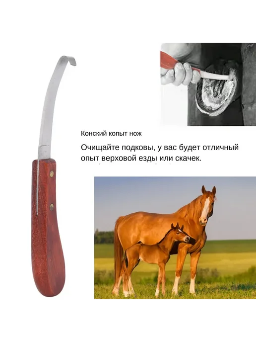 Нож для копыт, вариант, фото 3