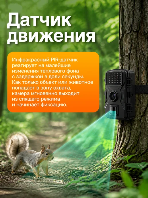 Фотоловушка для охоты и охраны с датчиком движения, вариант, фото 5