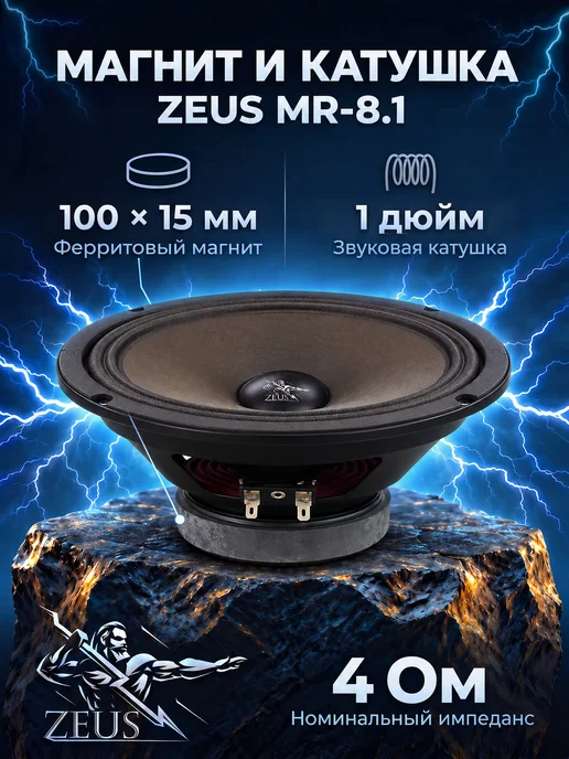 Zeus Динамики эстрадные 20см автомобильные MR-8.1, черный, фото 2