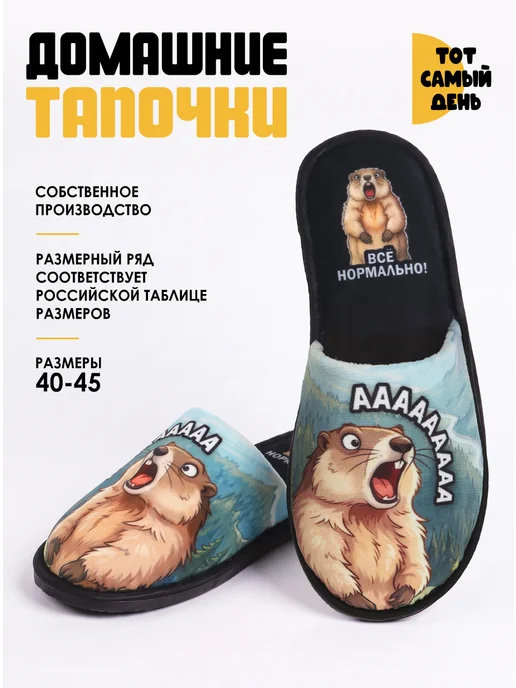 Emotion Day Тапочки домашние мужские закрытые, голубой