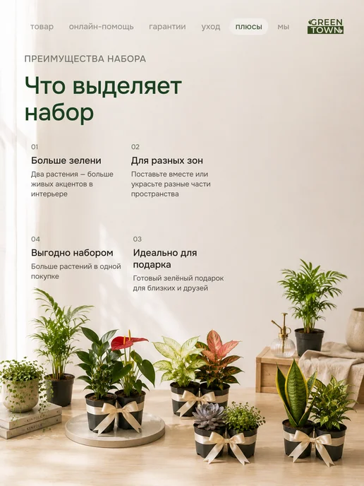 GREEN TOWN Набор Стрелиция,Банан,Кофе живое растение, зеленый, фото 4
