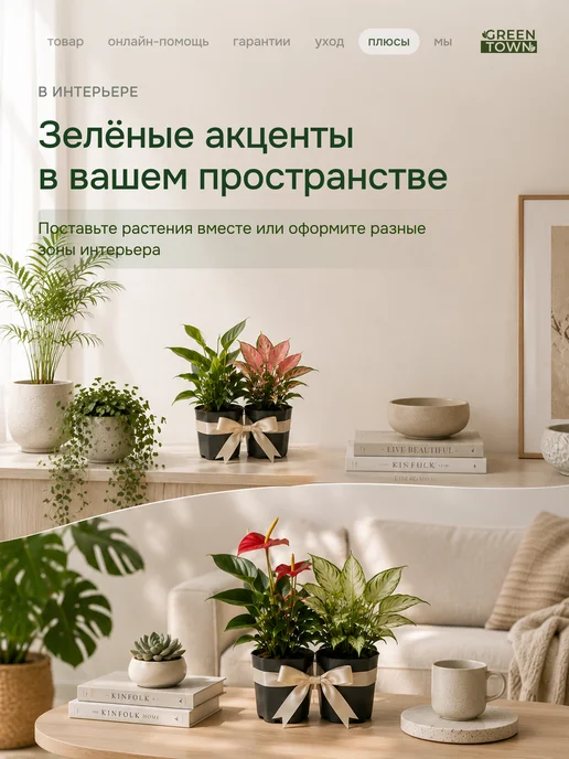 GREEN TOWN Набор Стрелиция,Банан,Кофе живое растение, зеленый, фото 6