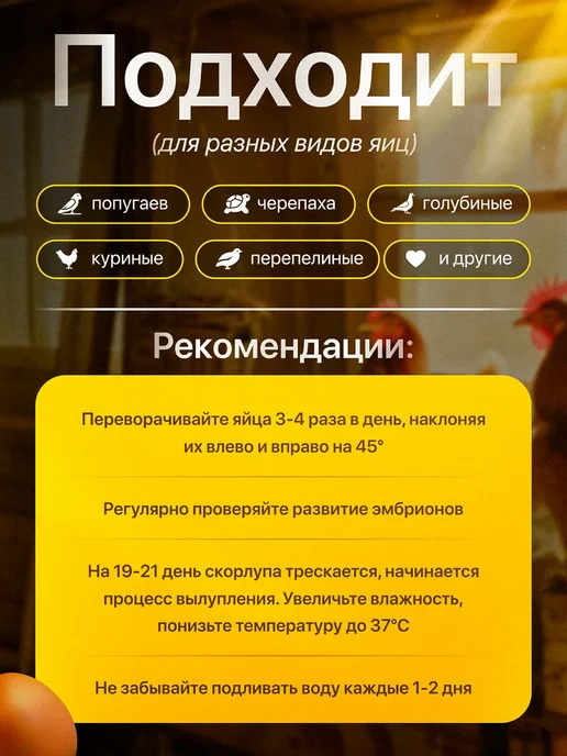 Gran Инкубатор для яиц с терморегулятором, желтый, фото 3