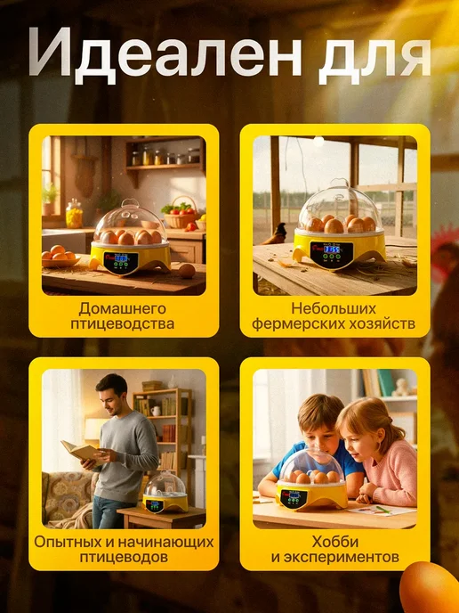 Gran Инкубатор для яиц с терморегулятором, желтый, фото 5