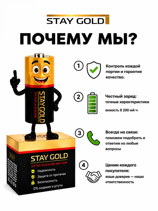 STAY GOLD Батарейки алкалиновые (щелочные) LR14 (C) 1,5V, набор 4 шт, 6 шт, фото 2