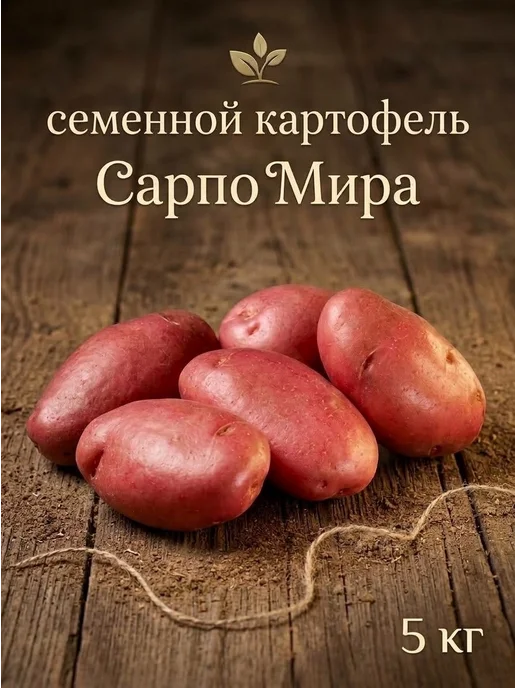 Семенной картофель на посадку Сарпо Мира 5 кг, 5 кг