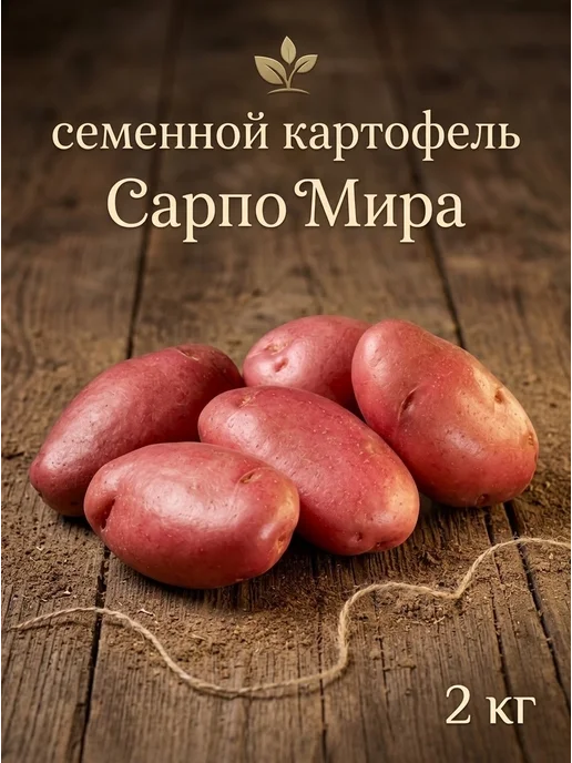 Семенной картофель на посадку Сарпо Мира 5 кг, 2 кг, фото 2