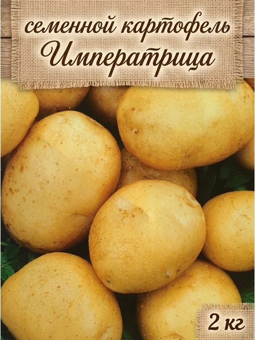 Семенной картофель на посадку Императрица 5 кг, 2 кг, фото 2