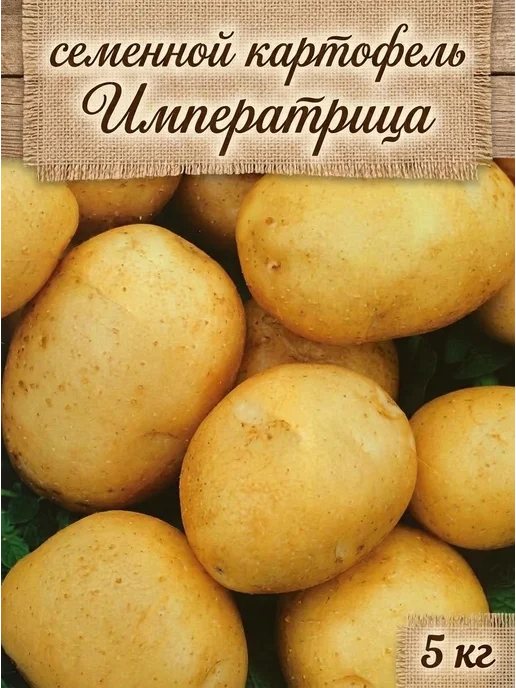 Семенной картофель на посадку Императрица 5 кг, 5 кг