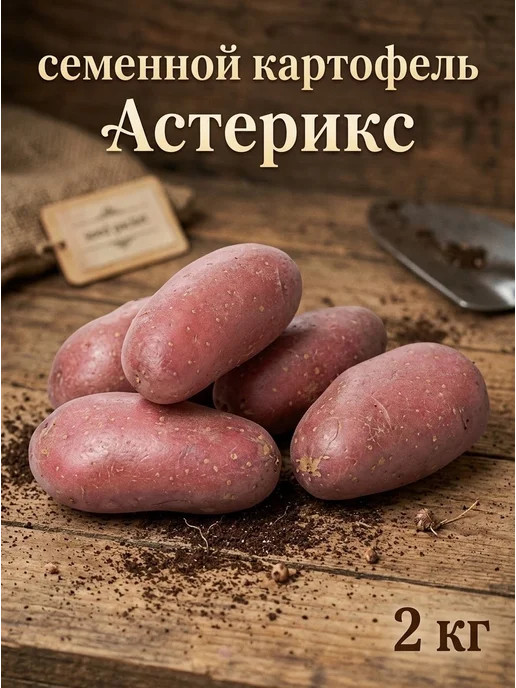Семенной картофель на посадку Астерикс 2 кг, 2 кг