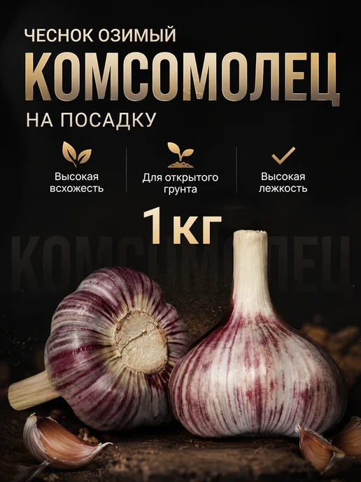 Агромаркет 24 Чеснок озимый на посадку Комсомолец 1 кг, 1 кг