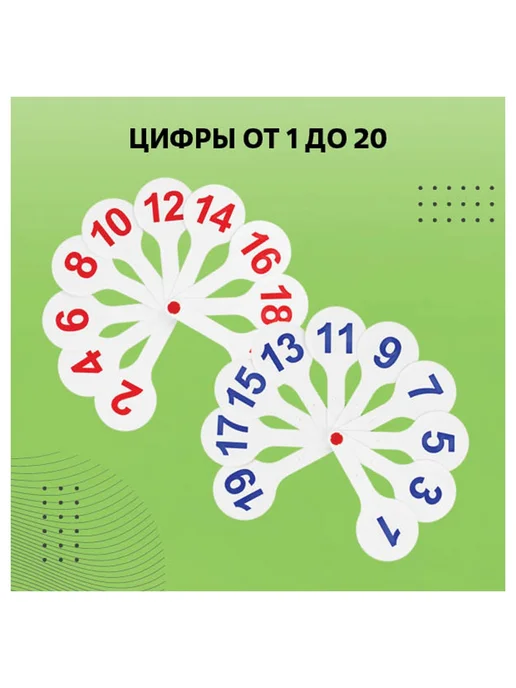 Стамм Веер-касса гласных, согласных, цифр 1-20, вариант, фото 5