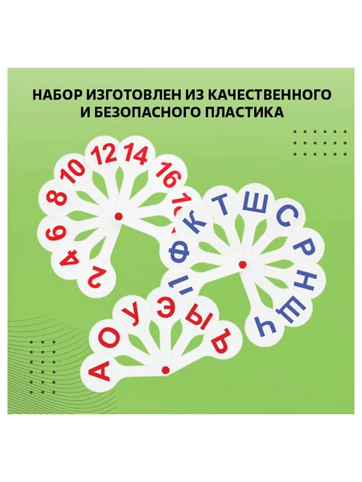 Стамм Веер-касса гласных, согласных, цифр 1-20, вариант, фото 8