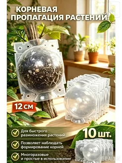 Набор для выращивания 12*12CM 10 шт