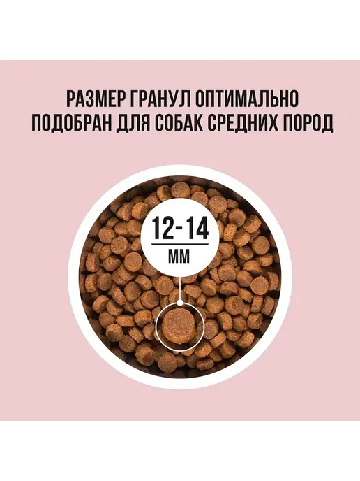 Сухой корм BOWL WOW Яблоко для собак, средние, индейка, 5 кг, фото 3