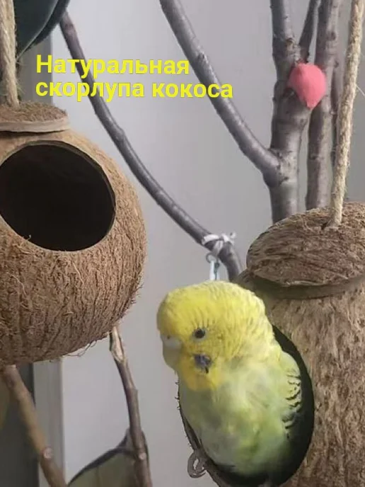 Домик подвесной для попугаев из кокосовой скорлупы, вариант, фото 2