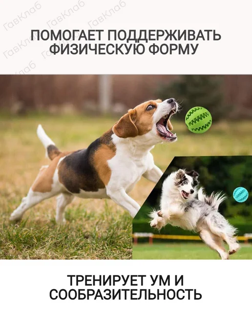 ГавКлаб Мяч для собак, синий, фото 5