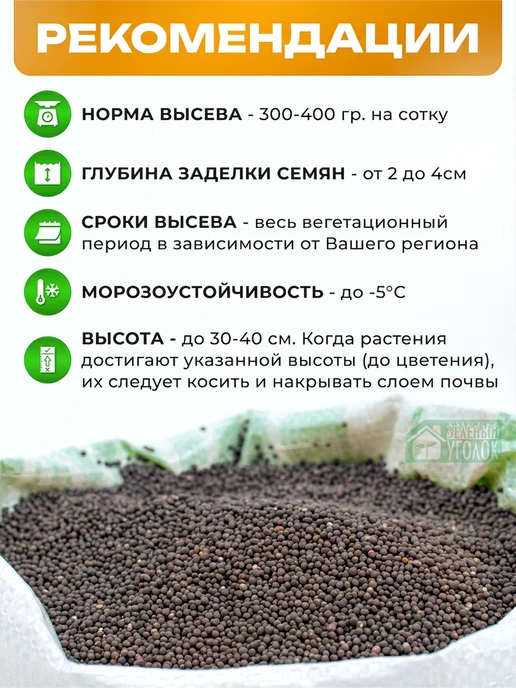 ЗЕЛЕНЫЙ УГОЛОК Горчица Семена 3 кг Сидераты для огорода, 3 кг, фото 5