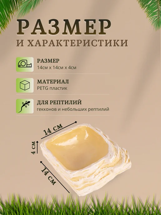 VirtoPlast Кормушка - поилка - купалка для рептилий гекконов большая, бежевый, фото 3
