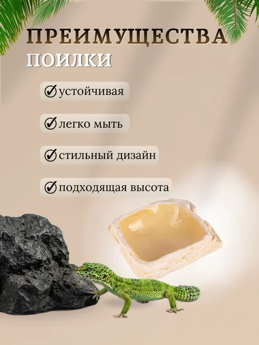 VirtoPlast Кормушка - поилка - купалка для рептилий гекконов большая, бежевый, фото 4