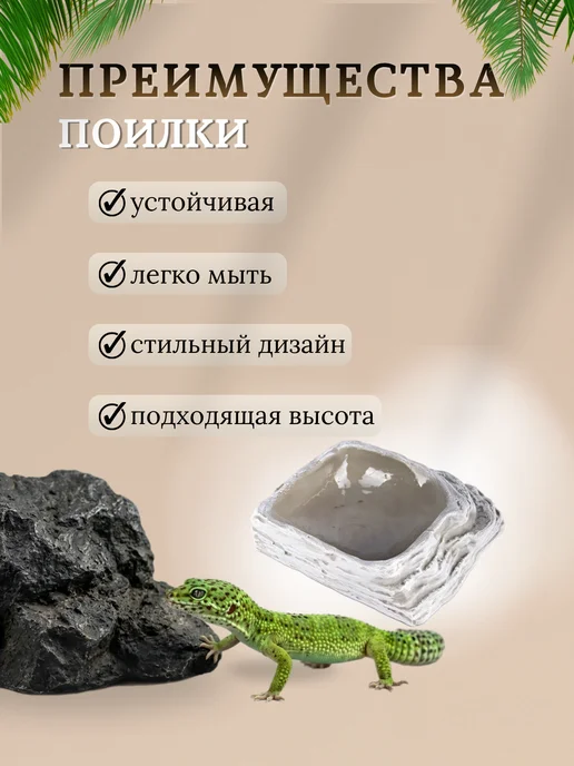 VirtoPlast Кормушка - поилка - купалка для рептилий гекконов большая, серый, фото 4