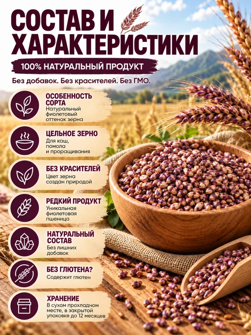 Зеленые решения Пшеница фиолетовая для проращивания 1 кг, 1 кг, фото 3