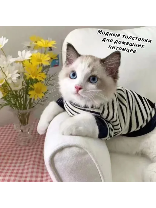 Одежда для питомцев трикотажная кофта полосатый узор, вариант