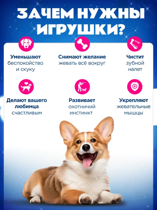 Tooth for tooth Мягкая игрушка для собак радуга, вариант, фото 2
