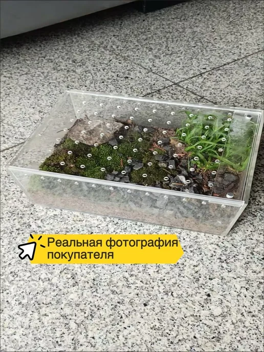 Террариум акриловый прозрачный с вентиляцией и магнитной для, прозрачный, фото 2