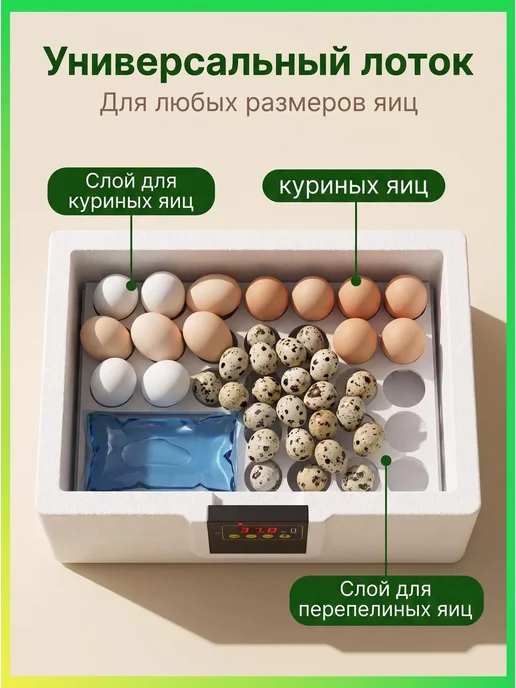 Инкубатор для яиц домашний с цифровым дисплеем универсальны, вариант, фото 3