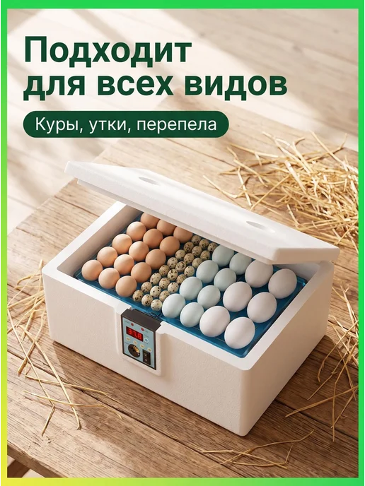 Инкубатор для яиц домашний с цифровым дисплеем универсальны, вариант, фото 5