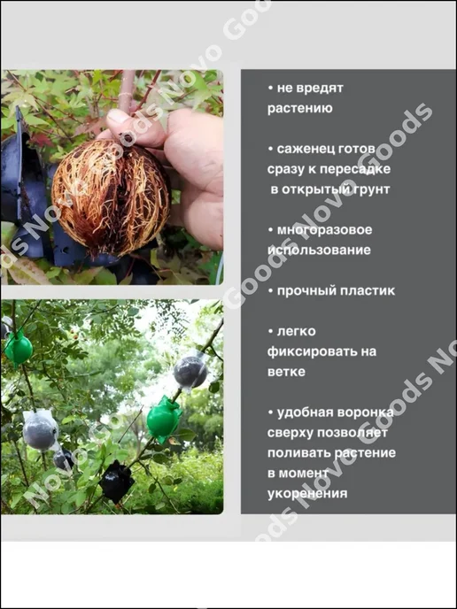 Набор для выращивания, вариант, фото 3