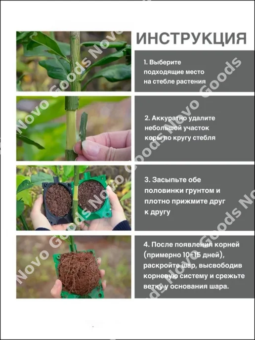 Набор для выращивания, вариант, фото 5