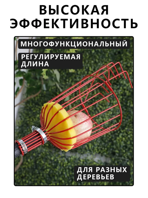 Легкий плодосборник с удлиняемой ручкой для сада, вариант, фото 2