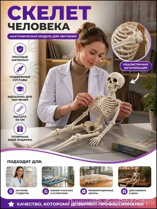 Модель скелета человека 45 см, анатомический макет с для, 45 см