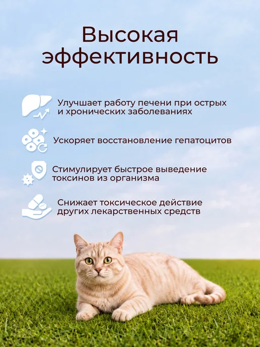 apicenna Гепатовет Актив для кошек и собак 100 мл, 100 мл, фото 2